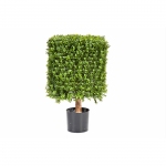 Kunstplant Buxus vierkant op frame 47x47x70cm